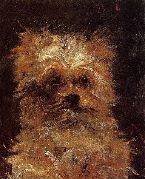 Edouard Manet Bob, Chien Griffon oil painting image